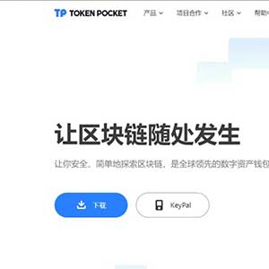 2022 全新imtoken/tp/metamask小狐狸假钱包系统/获取助记词盗u系统 附教程