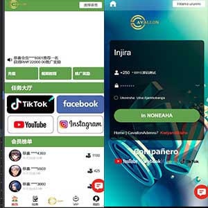 最新刷单任务系统/超多语言/tiktok/facebook/youtube