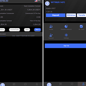 出海源码英文版虚拟币投资系统/海外USDT充值源码下载