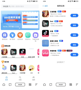 DD应用系统网站源码 软件库网站源码 支持多应用