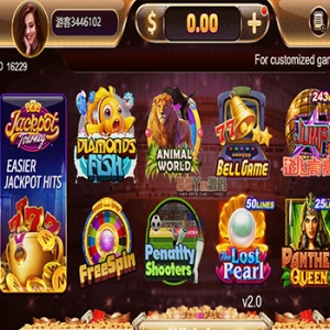 海外黑金版-h5游戏电玩城/19款游戏/后台带控制/游戏可定制/最全游戏源码