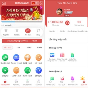 越南BC游戏源码/纯越南语言ssc源码/越南游戏/大富二开