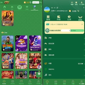 海外包网/接口可控/真人游戏/棋牌游戏/老虎机/拉霸/12国语言/8套模板